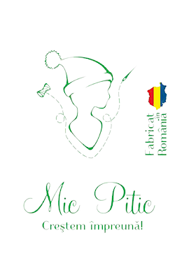 mic pitic logo