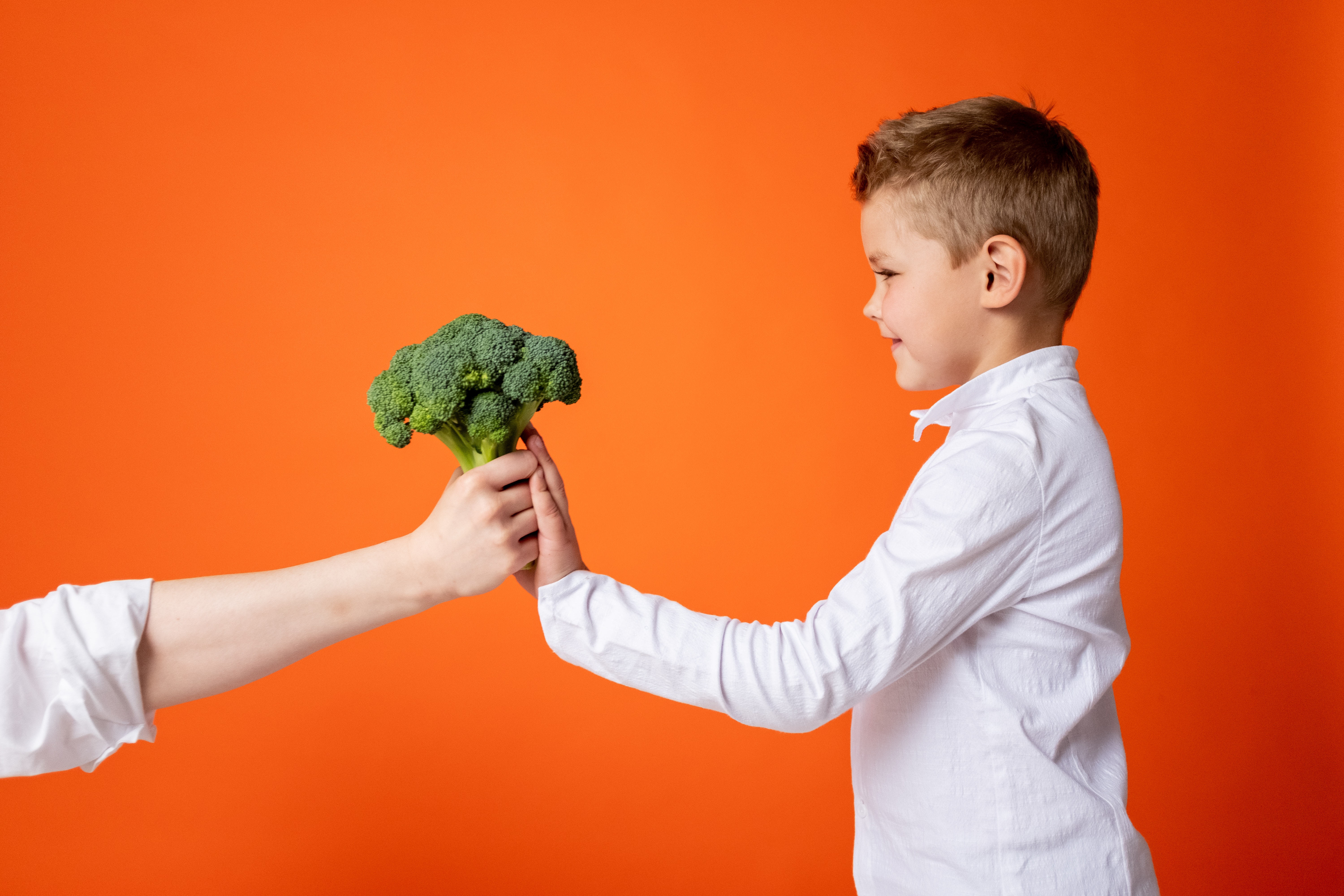 Comportamentul alimentar al copilului cu Autism
